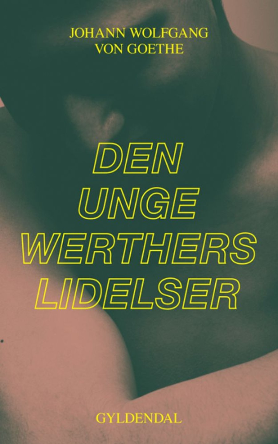 Skonlitteratur Gyldendal Den Unge Werthers Lidelser Jw Von Goethe Bog ~ Sbogsale 