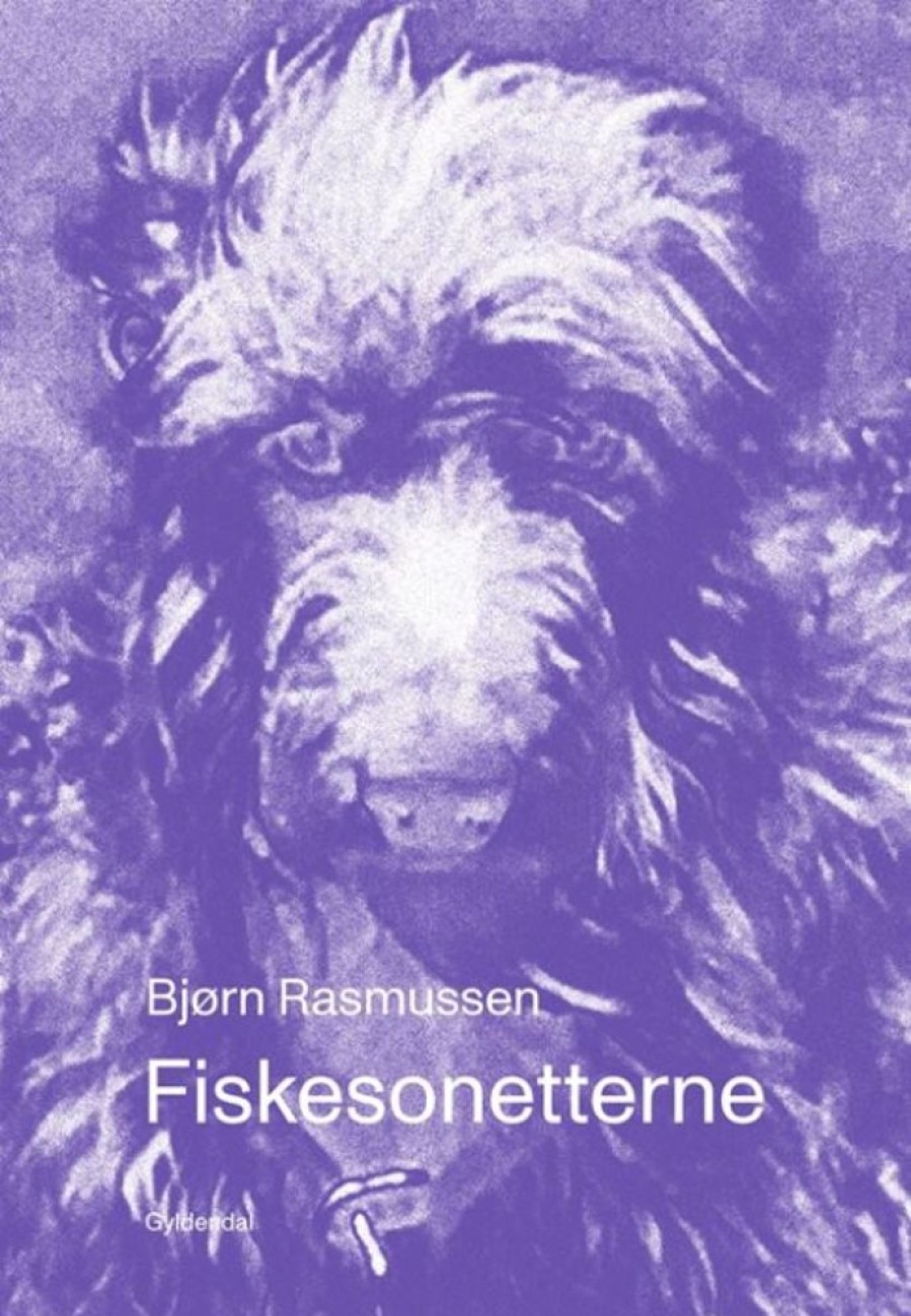 Skonlitteratur Gyldendal | Fiskesonetterne - Bjorn Rasmussen - Bog